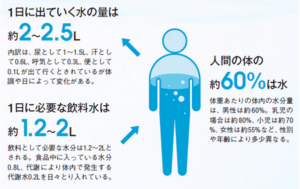 水分摂取